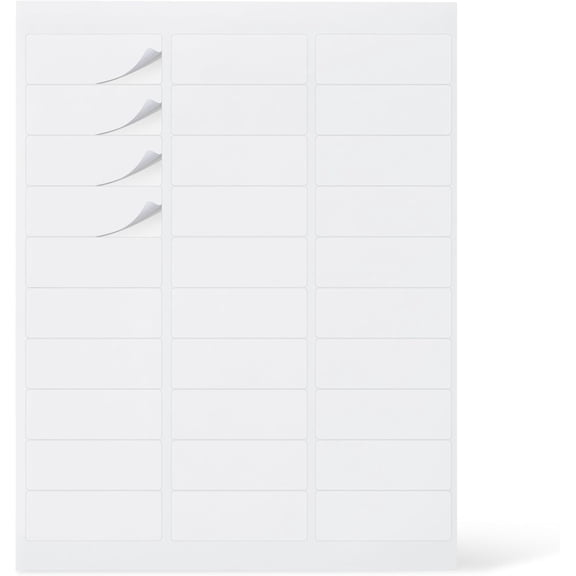 Basics Printable Address Labels, White, 1" x 2-5/8", 3000 Blank Mailing Labels