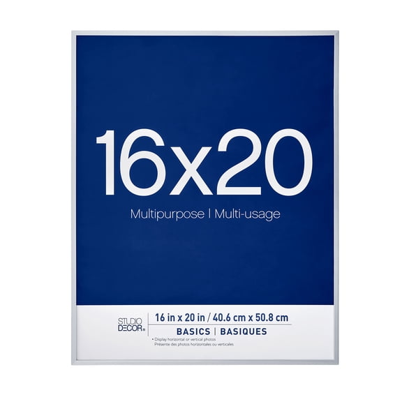 Studio Decor Basics Silver Multipurpose Frame