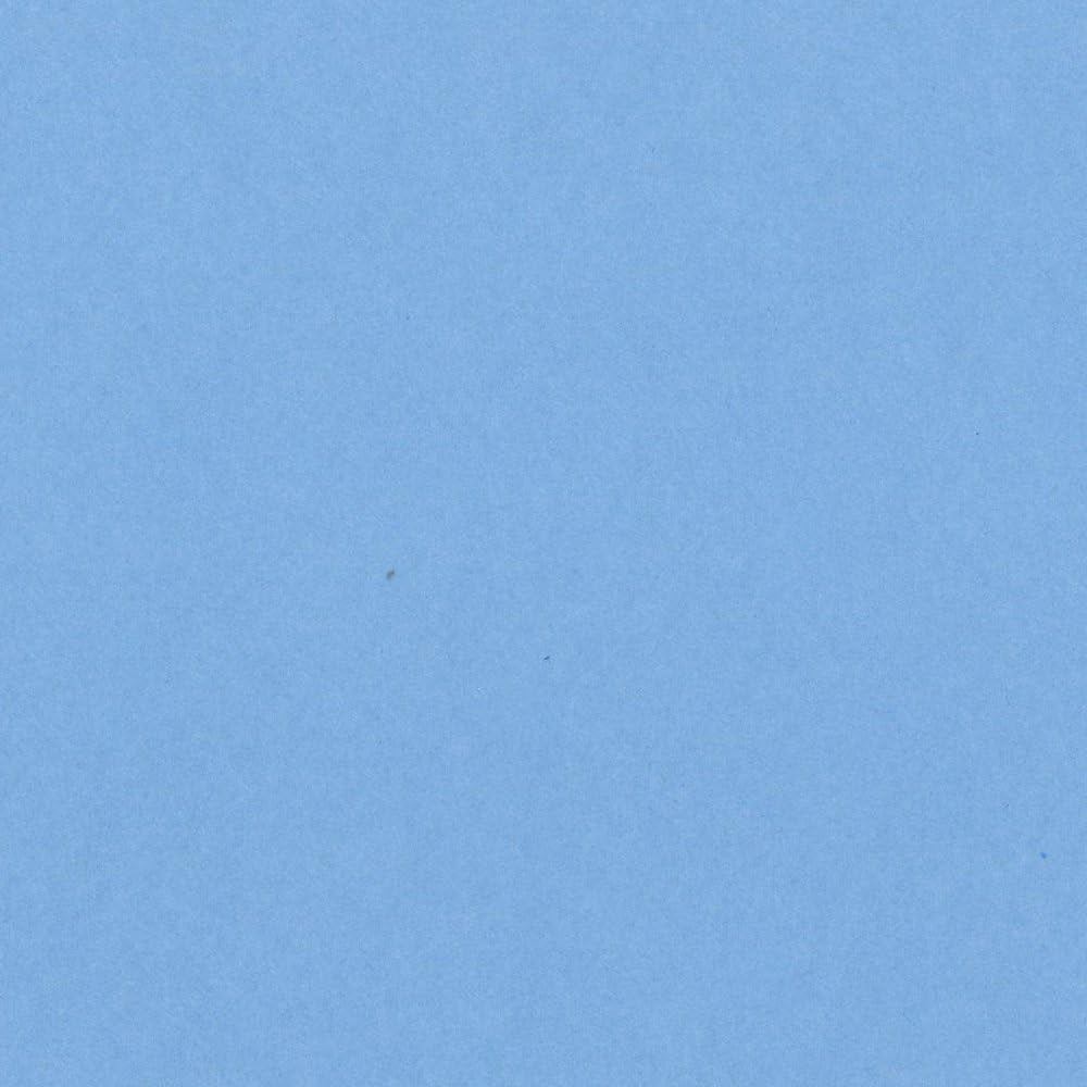 Basics T77144 Card Shoppe Heavy Weight Cardstock, Gumball, 25 Sheet