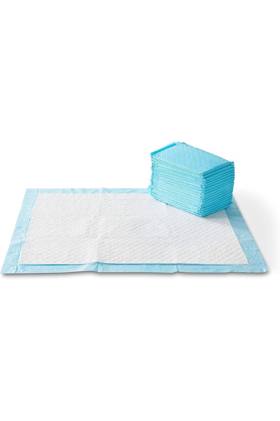 Basics X-Large Heavy Duty Absorbent Puppy Potty Pads, Leak-Proof, Quick-Dry, Super Absorbent Gel Technology for Dog Training, 28 x 34 Inches, Blue & White, Pack of 50