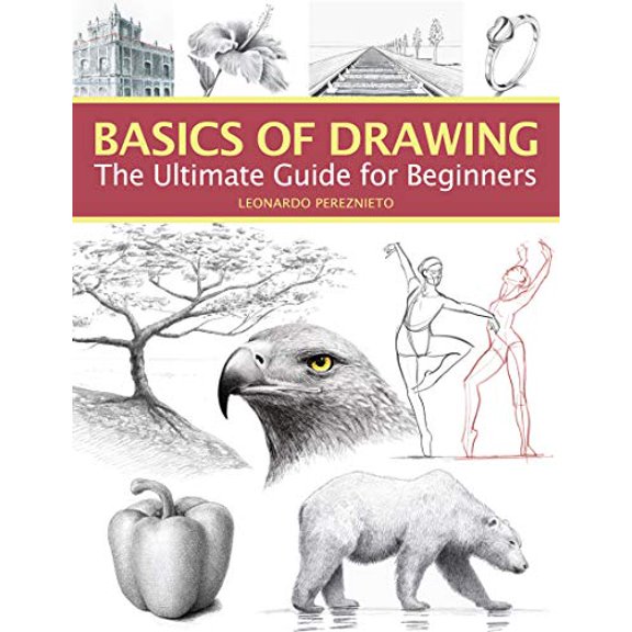 Pre-Owned Basics of Drawing: The Ultimate Guide for Beginners (Paperback) 1684620163 9781684620166