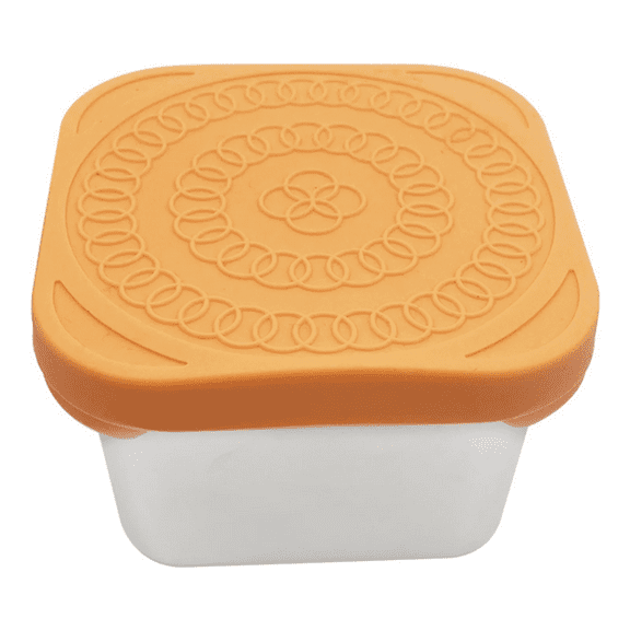 Basiess Stainless Steel Snack Containers, Leakproof Food Storage Box with Lid, Portable Lunch Box Adults, Travel Picnic Kitchen Use Orange