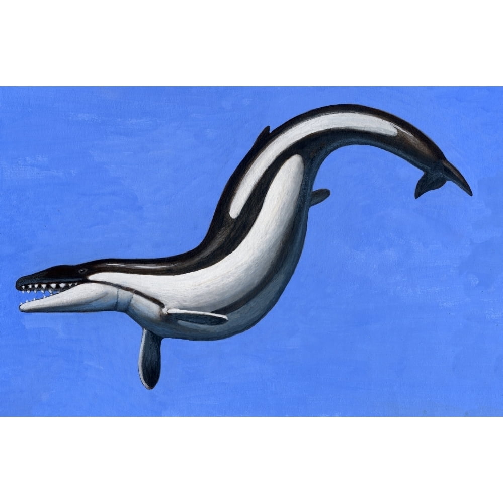 Basilosaurus a marine mammal that lived in the Late Eocene epoch Poster ...