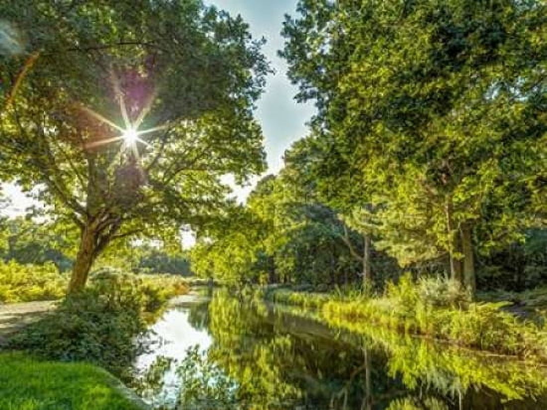 Basingstoke canal in countryside UK Canvas Art - Assaf Frank (18 x 24)