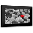 thumbnail image 1 of Baskakov, A. 18x12 Black Modern Framed Museum Art Print Titled - Red Tulip In Black and White Field, 1 of 5