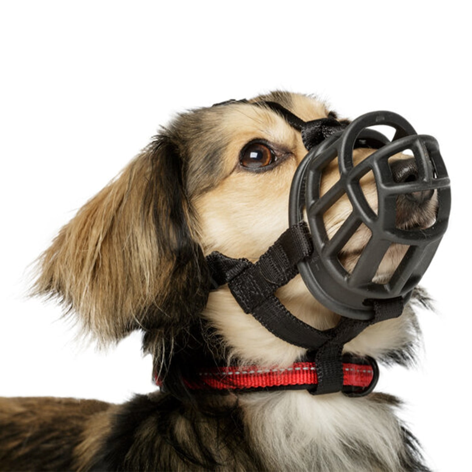 Baskerville Ultra Dog Muzzle Walmart