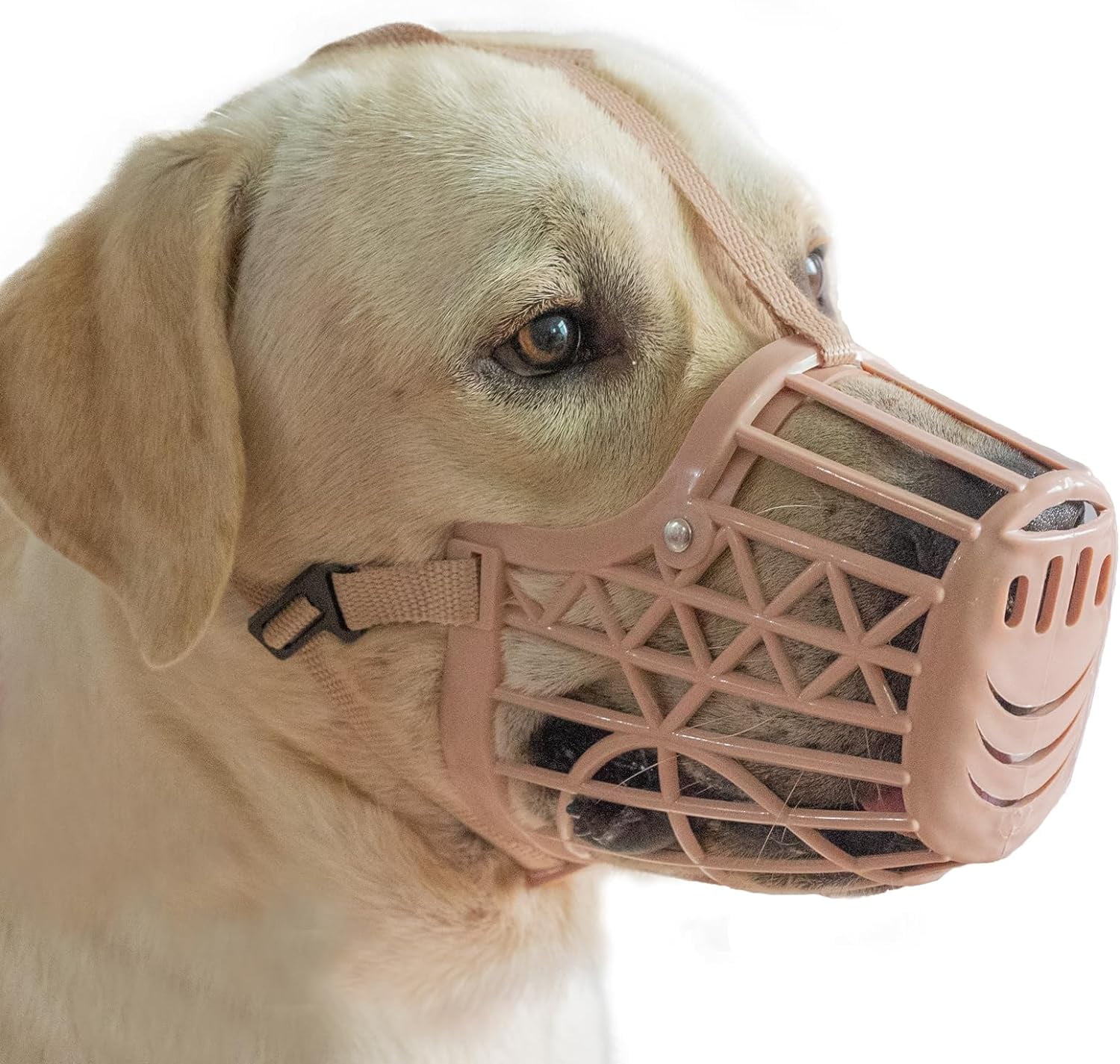 Muzzle for puppy eating rocks sales