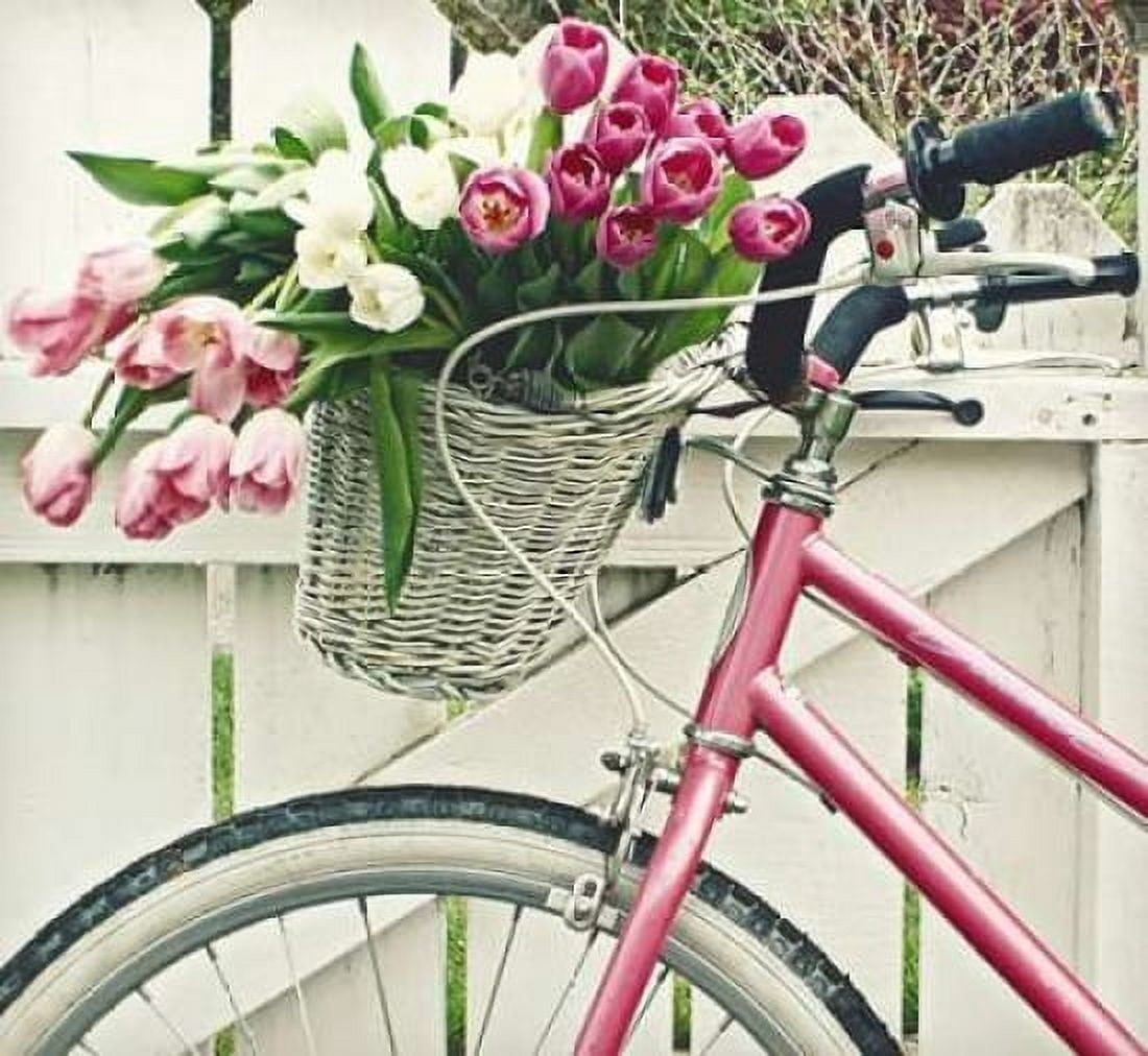 Basket Of Tulips Canvas Art - Vicki Dvorak (24 x 24)