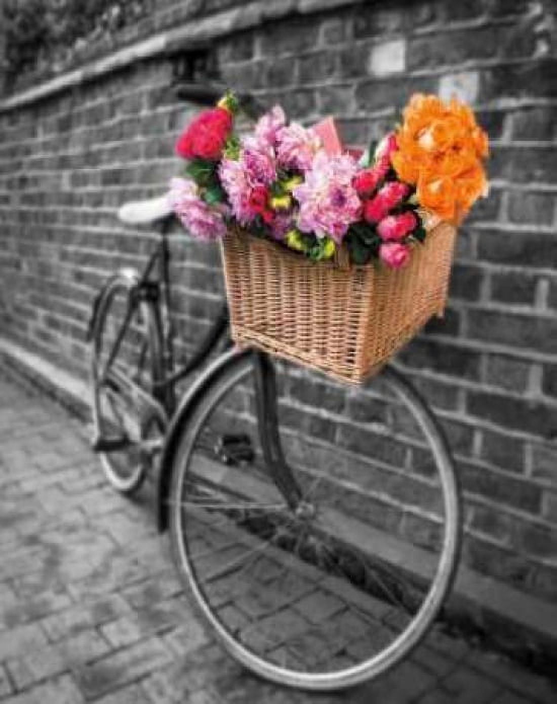 Basket of Flowers II Canvas Art - Assaf Frank (24 x 30)