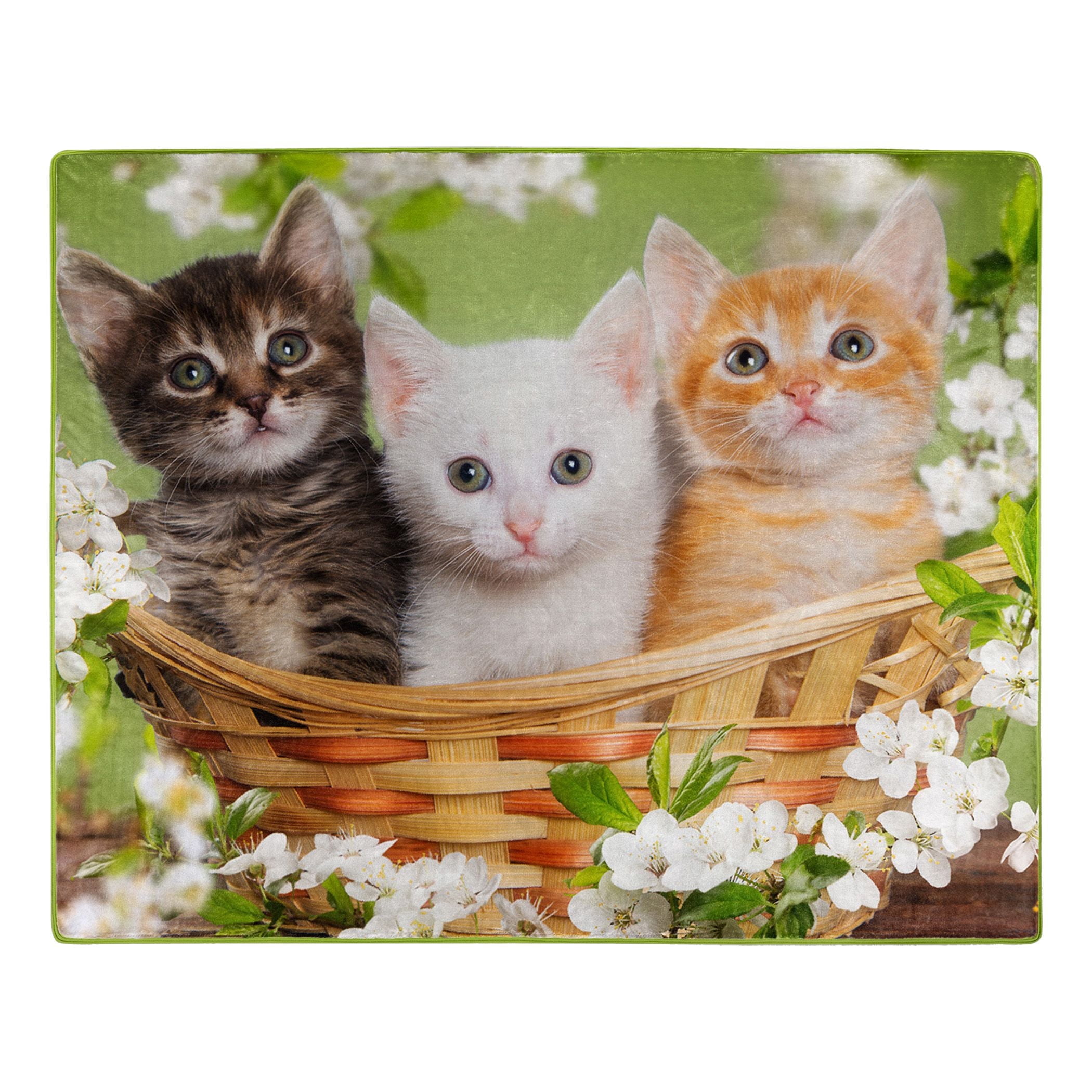 Adorable Kittens in Basket Plush Throw Blanket 50" x 60"