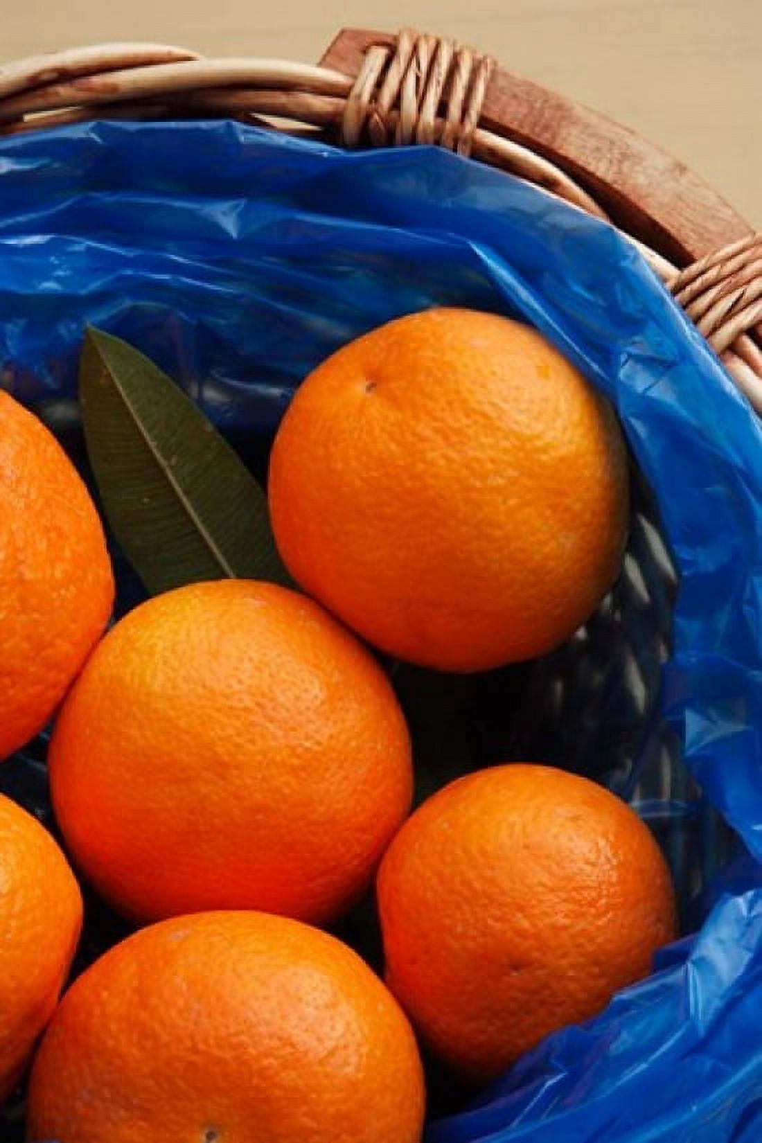 Basket of Oranges Greece Canvas Art - Steve Outram DanitaDelimont (25 x 38)