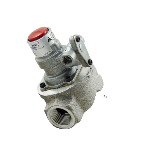 Baso Gas Products 3/4" Autopilotvlvw/Flowint And Bush