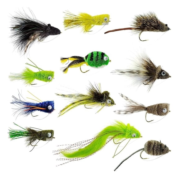 Bass Bug Collection, 12 Fly Fishing Flies, Surface Poppers and Subsurface Divers, Hook Sizes 2/4/6