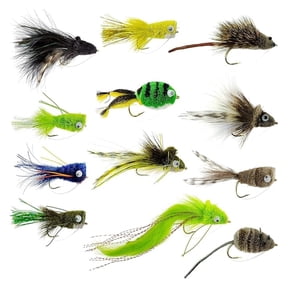 Bass Bug Collection, 12 Fly Fishing Flies, Surface Poppers and Subsurface Divers, Hook Sizes 2/4/6