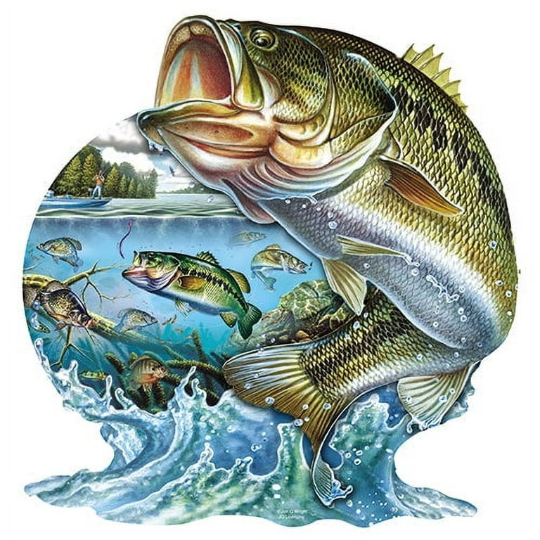https://i5.walmartimages.com/seo/Bass-Fish-World-Novelty-Sign-Indoor-Outdoor-Funny-Home-D-cor-Garages-Living-Rooms-Bedroom-Offices-SignMission-personalized-gift-Wall-Plaque-Decoratio_023adbf6-39ae-46cc-bffb-74685dee5495.c507d00a2a9ab99a090b69c20ea11c47.jpeg?odnHeight=768&odnWidth=768&odnBg=FFFFFF