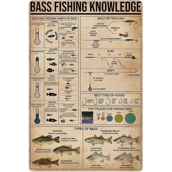 Bass Fishing Knowledge Metal Signs Fishing Reference Guide Posters Fisher Learning Infographic Tin Signs Plaques Home Farmhouse Room Wall Dcor 8x12 inches