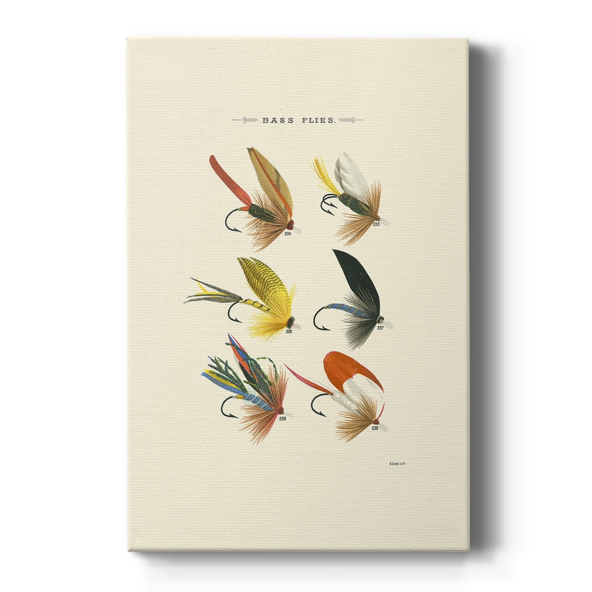 Bass Flies I Premium Gallery Wrapped Canvas - Ready to Hang
