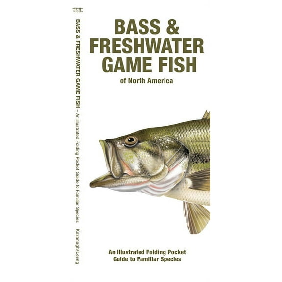 Bass & Freshwater Game Fish of : An Illustrated Folding Pocket Guide to Familiar Species (Edition 2) (Paperback)