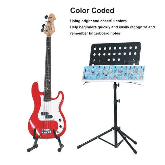 Bass Fretboard Guide, Standard Tuning , Ideal For Beginners  Practice