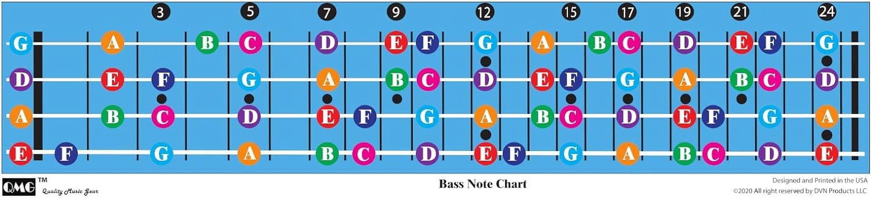 Bass Guitar Fretboard Note Chart, Learn to Play Guitar and Music Theory, Suitable for all Levels