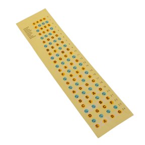 Bass Player Beginners Note Learning Sticker Orange & Inlay Marker