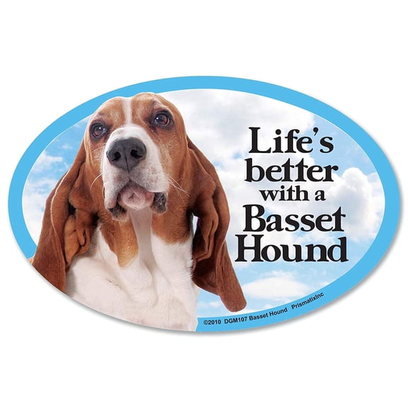 Basset Hound Oval Dog Magnet for Cars (and fridges too!)