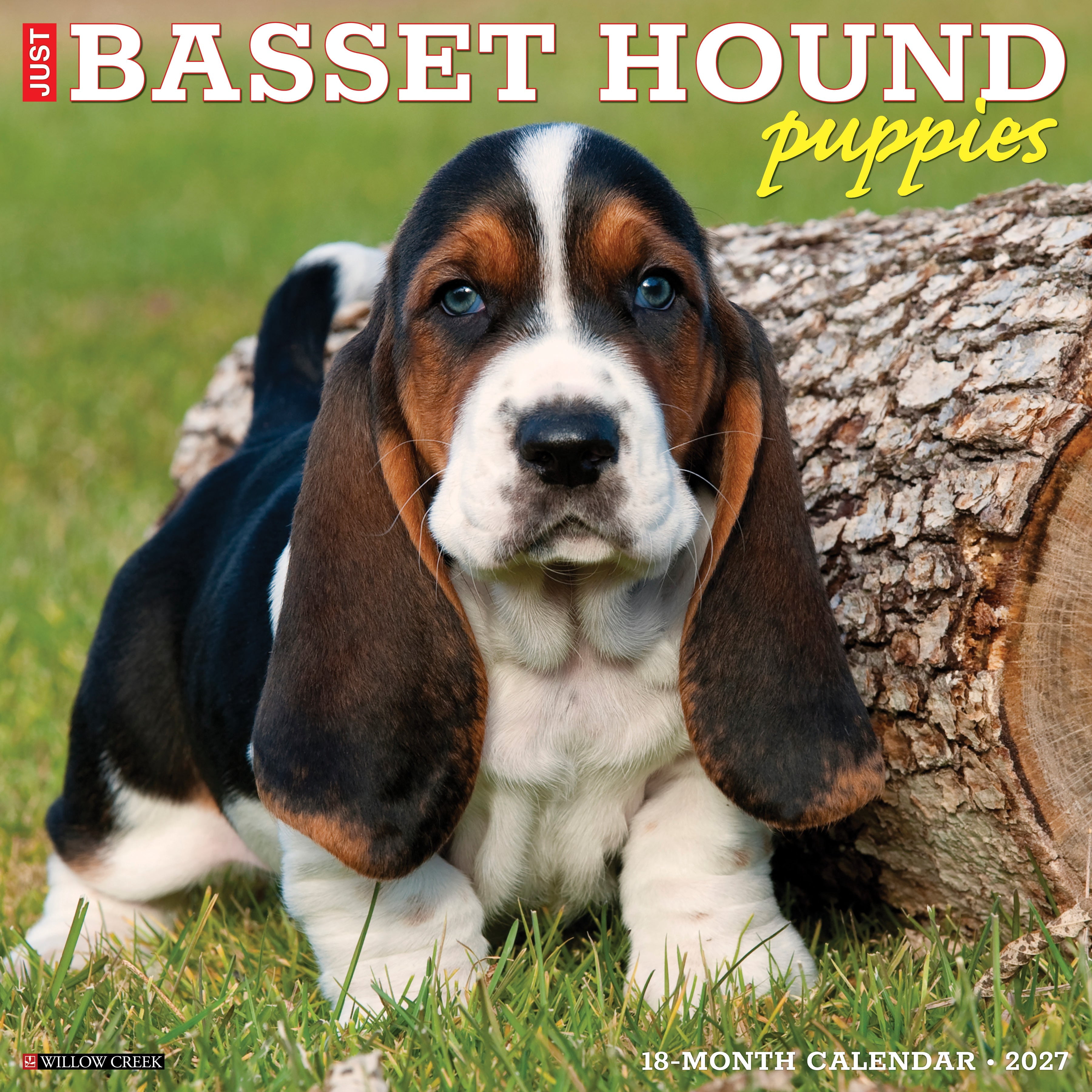 Willow Creek Press, Basset Hound Puppies 2027 Wall Calendar