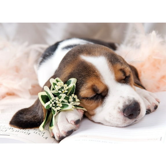 Basset Hound Puppy 500 Piece Tomax Flat 2D Jigsaw Puzzle