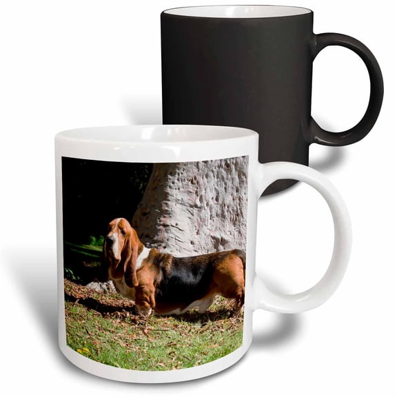 3drose, Basset Hound Standing Near Tree Trunk, Mr, 11oz Magic Transforming Mug