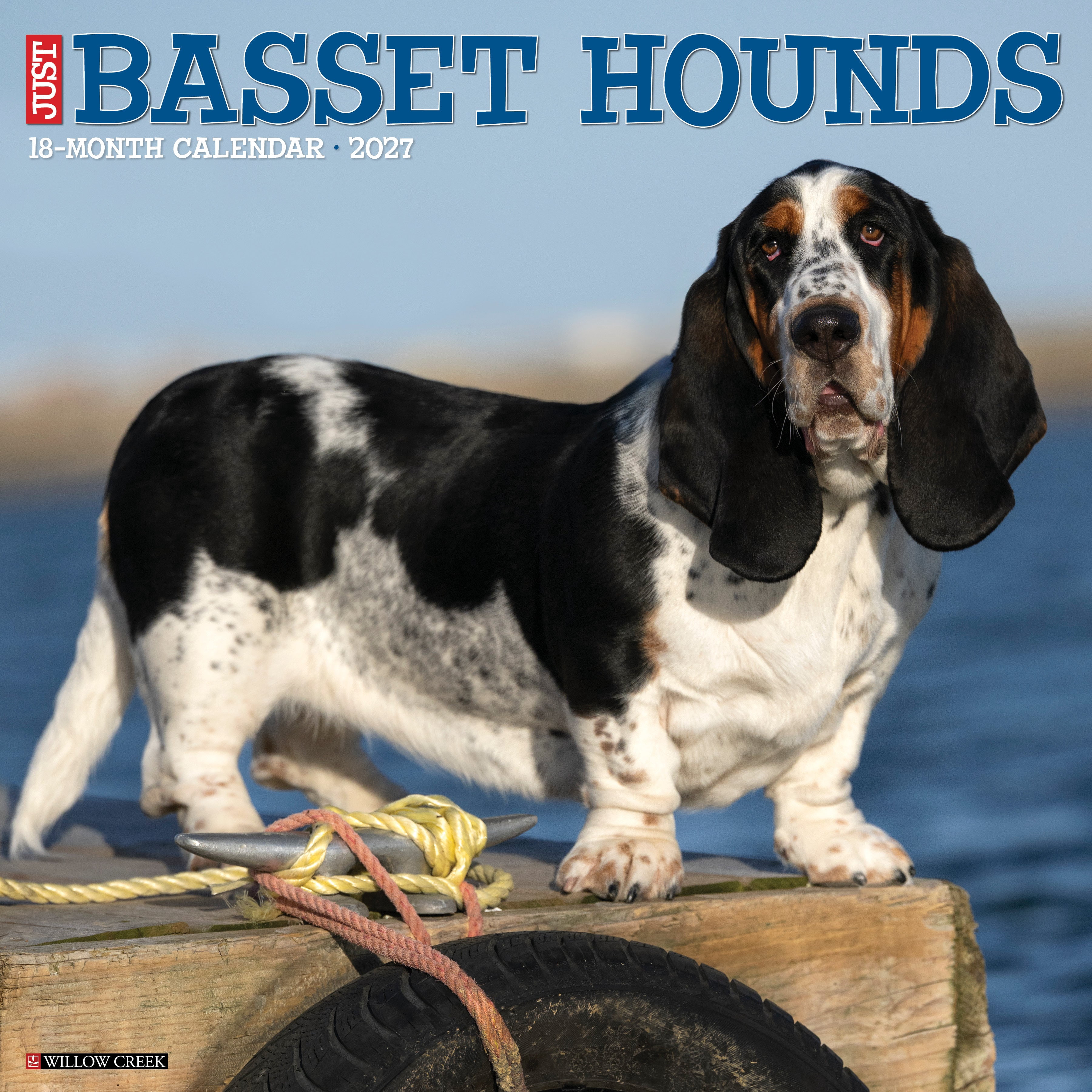 Willow Creek Press, Basset Hounds 2027 Wall Calendar