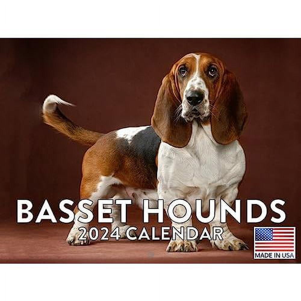 Basset Hounds Calendar 2024