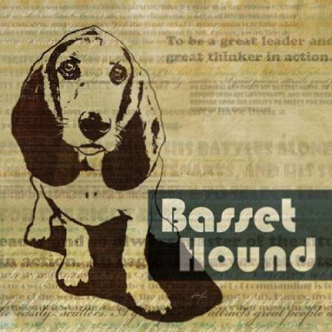Bassett Hound Sketch Canvas Art - Ken Roko (24 x 24)