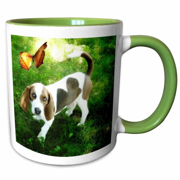 3drose, Bassette Hound Pup with Butterfly, 11oz Two-tone Green Mug