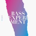 thumbnail image 1 of Bassexperiment (Audiobook), 1 of 2