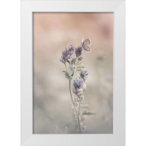 Bastien, Sam 11x14 White Modern Wood Framed Museum Art Print Titled - Sweet World