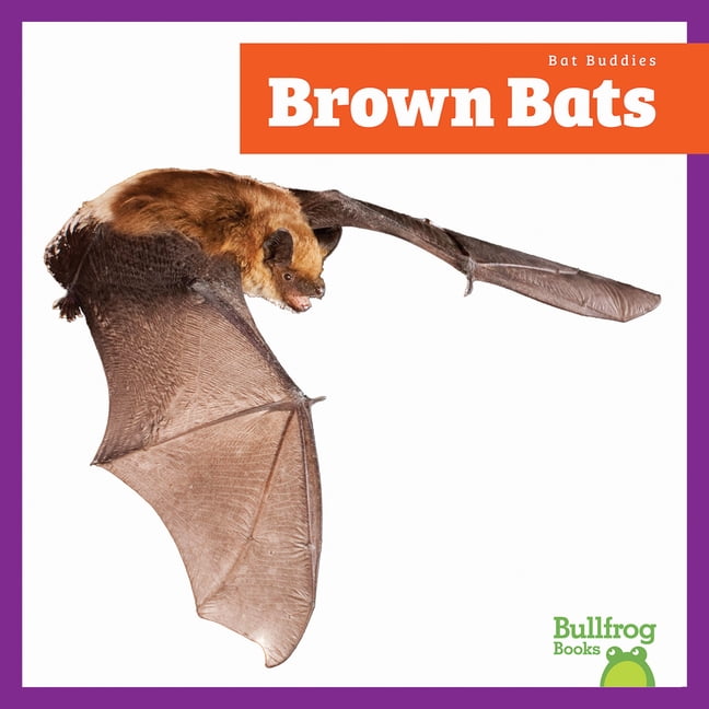 Bat Buddies Brown Bats, (Paperback)