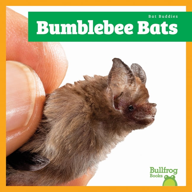 Bat Buddies Bumblebee Bats, (Paperback)