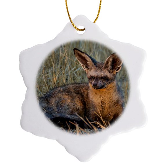 3drose, Bat Eared Fox, Okavango Delta, Botswana, 3 inch Snowflake Porcelain Ornament