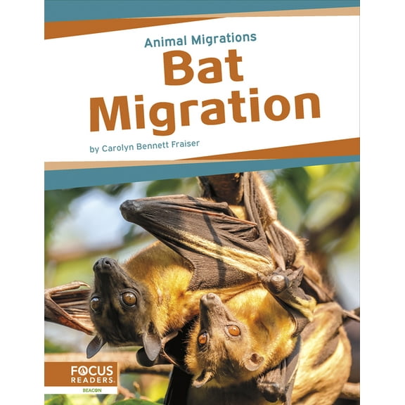 Bat Migration, (Paperback)