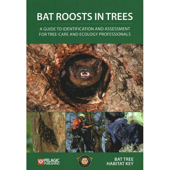 Bat Roosts Trees: Guide Identification (Paperback)