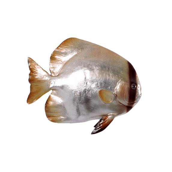 Batfish Life Size Statue