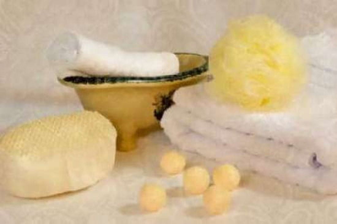 Bath Accessories III Canvas Art - C Thomas McNemar (24 x 36)