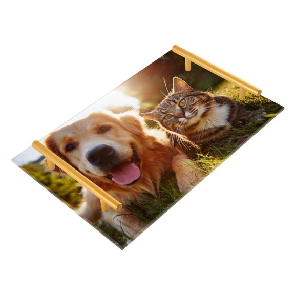 Bath Accessories Sets Single Print Decorative Tray With Handle For Home Bathroom Bedroom A Happy Dog with A Cat