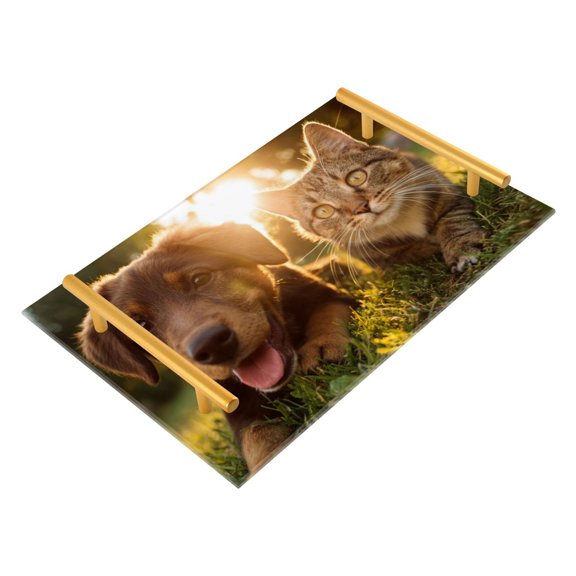 Bath Accessories Sets Single Print Decorative Tray With Handle For Home Bathroom Bedroom A Sunny Day