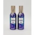 thumbnail image 1 of Bath & Body Works Butterfly Concentrated Room Spray Vanilla Raspberry Iris, 1 of 5
