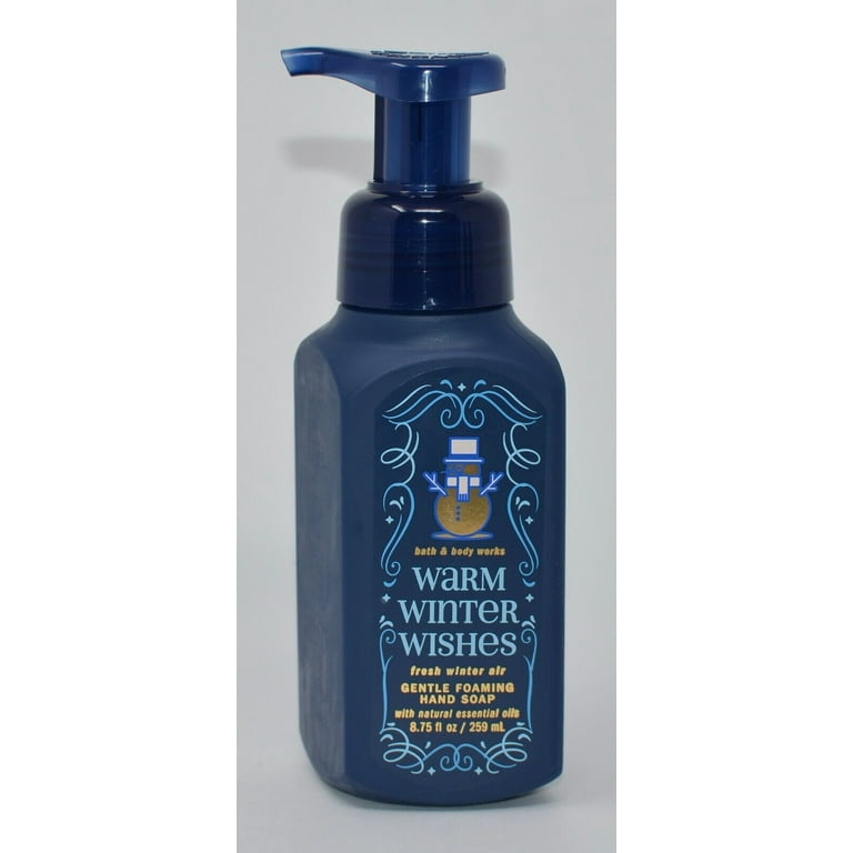 Bath & Body Works Fresh Winter Air Gentle Foaming Hand Soap