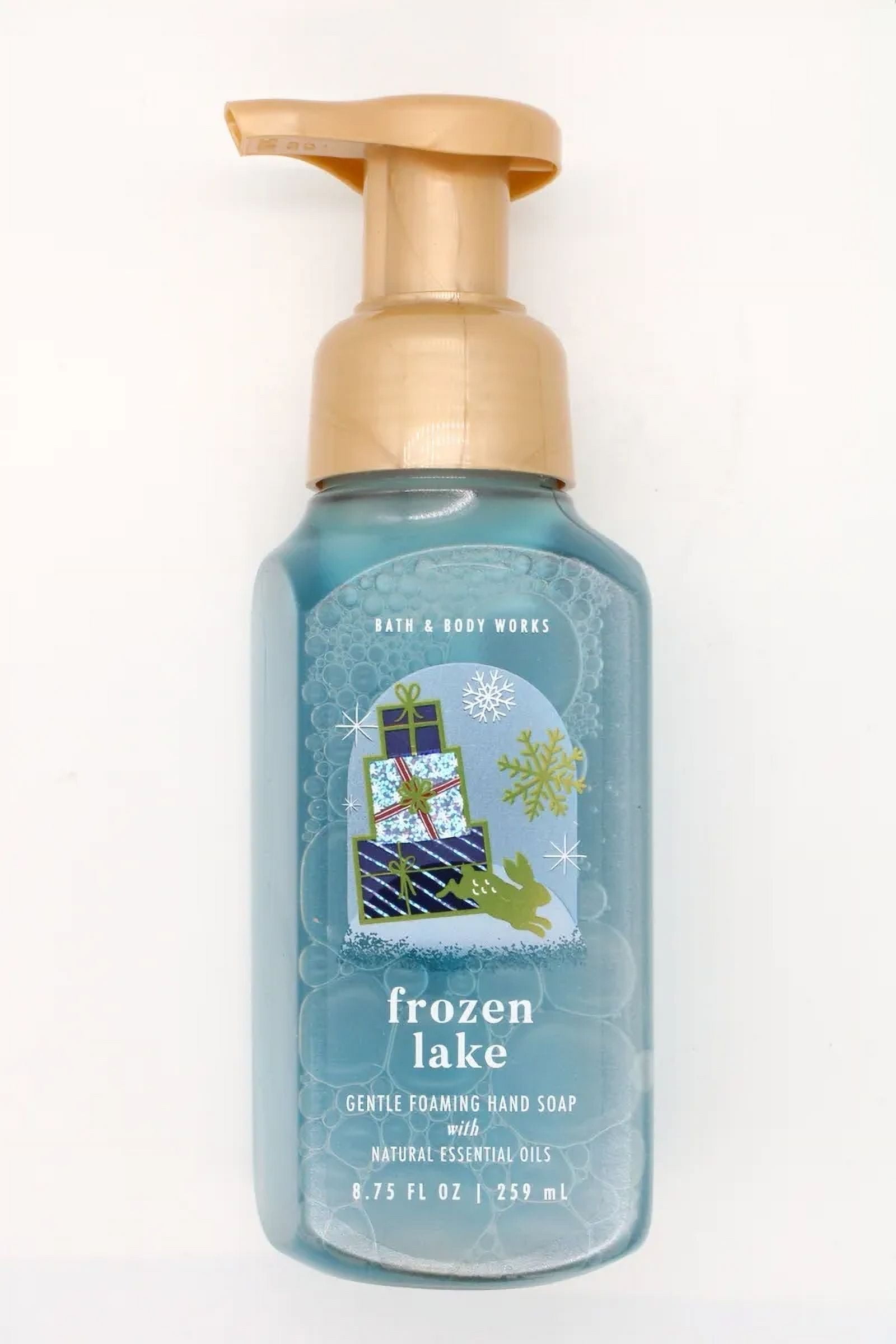 Bath & Body Works Gentle Foaming Hand Soap FROZEN LAKE What it