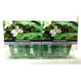 thumbnail image 1 of Bath & Body Works Rainforest Gardenia Wallflowers Home Fragrance Refills, 0.8. fl oz each - 4 Refills, 1 of 2