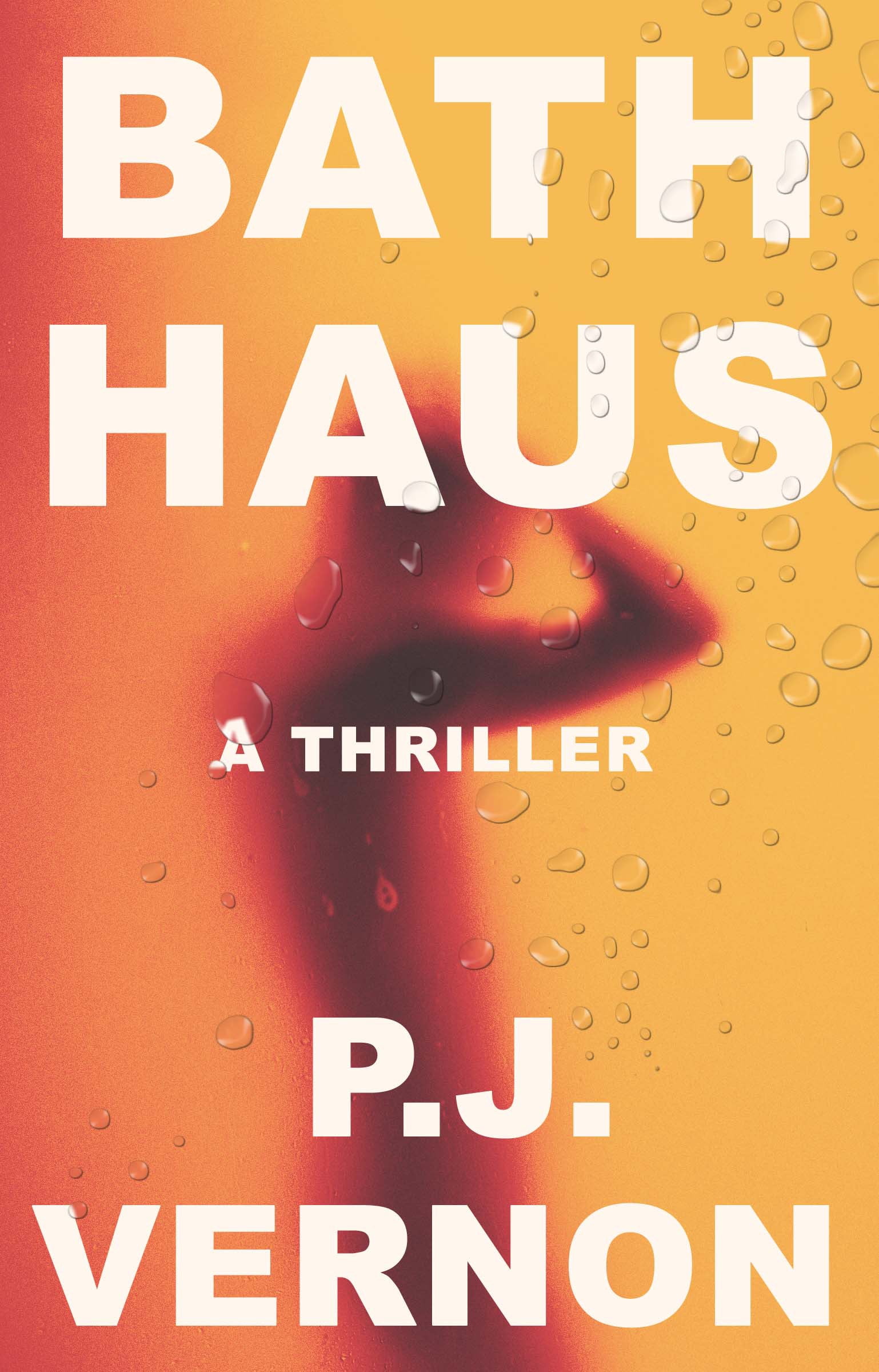 Bath Haus : A Thriller (Paperback) - Walmart.com
