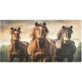 thumbnail image 1 of Bath Mat, Soft Absorbent Bath Rug, Horse Bath Mats for Bathroom, Living Room Bedroom Home Floor Mat, Bath Mat for Tub Non Slip 20 x 39 Inch Home Decor, 1 of 7